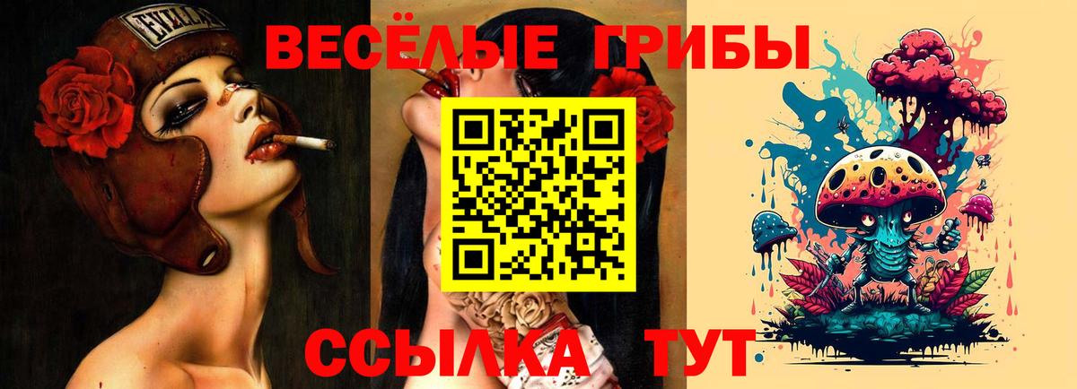 Галлюциногенные грибы Psilocybine cubensis Североморск